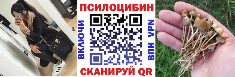 наркошоп  Почеп  Галлюциногенные грибы Magic Shrooms 